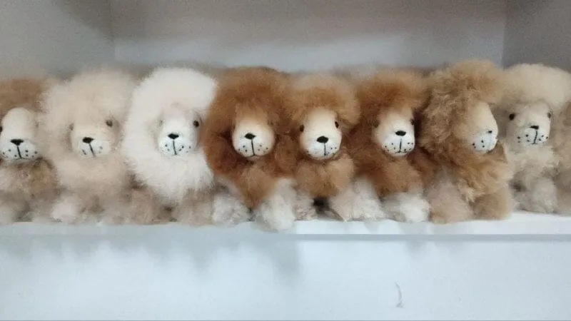 Fur Alpaca Lion