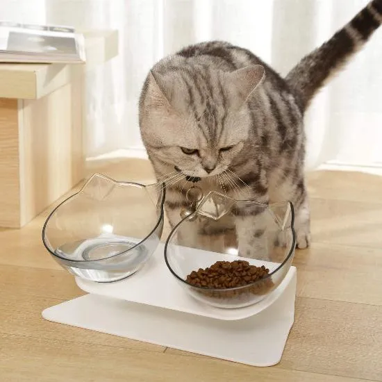 Purrfect Kitty Elevated Bowls
