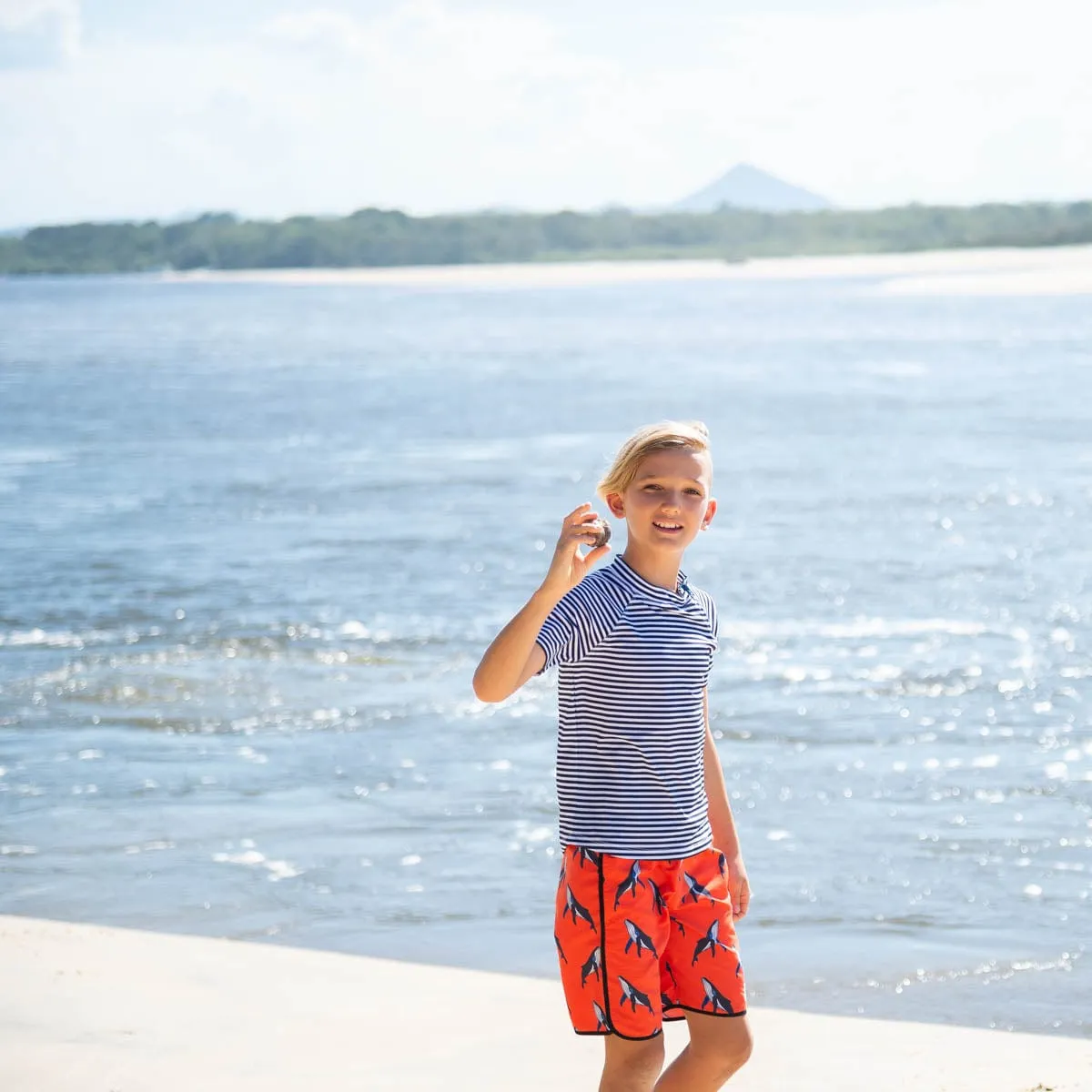 Whale Pod Board Shorts